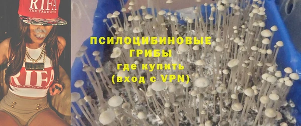 индика Семикаракорск