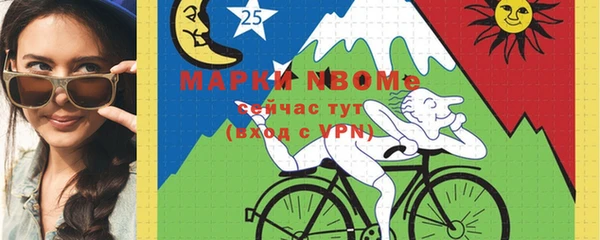 индика Семикаракорск