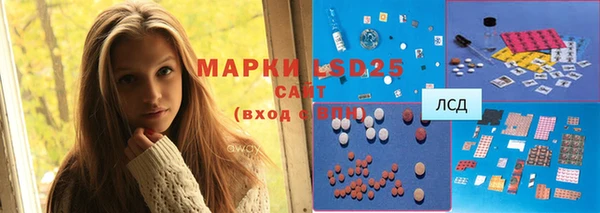 индика Семикаракорск